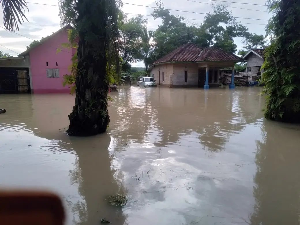 Perkembangan Situasi dan Penanganan Bencana Tanggal 2 Maret 2025